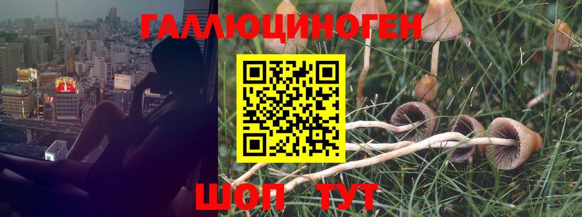 Галлюциногенные грибы мицелий Муравленко